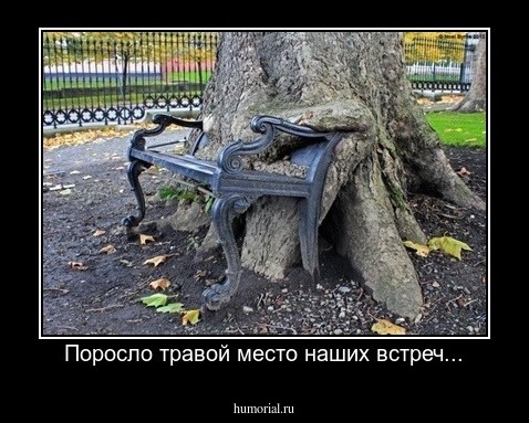Поросло травой место наших встреч...