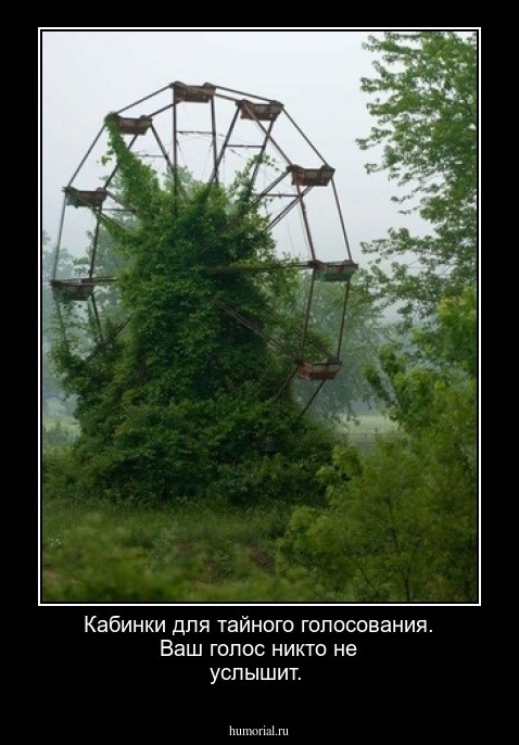 Кабинки для тайного голосования. Ваш голос никто не услышит.