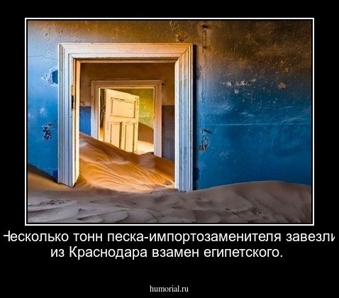 Несколько тонн песка-импортозаменителя завезли из Краснодара взамен египетского.