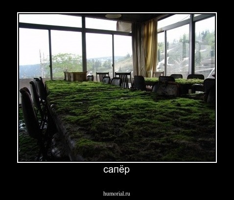 сапёр