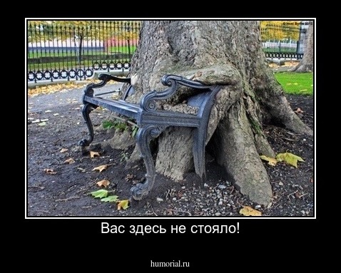 Вас здесь не стояло!