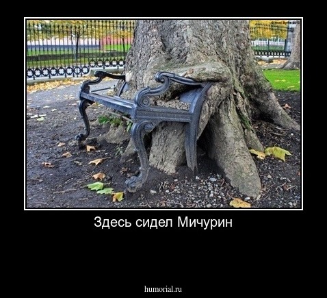 Здесь сидел Мичурин

