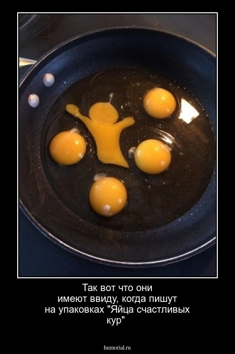 Так вот что они имеют ввиду, когда пишут на упаковках  "Яйца счастливых кур"