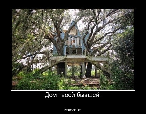 Дом твоей бывшей.