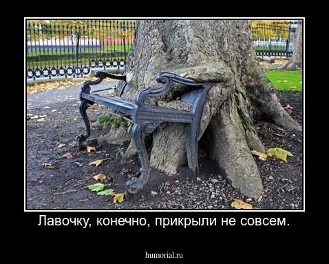 Лавочку, конечно, прикрыли не совсем.