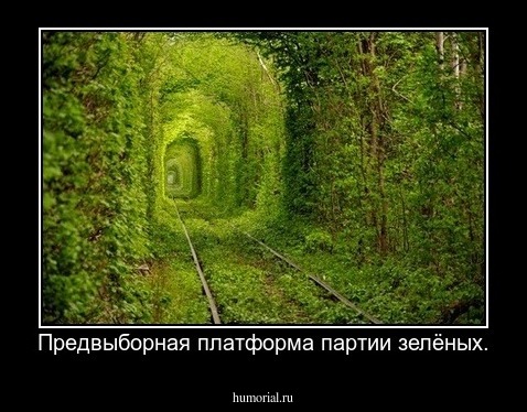 Предвыборная платформа партии зелёных.