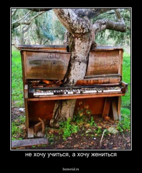 не хочу учиться, а хочу жениться