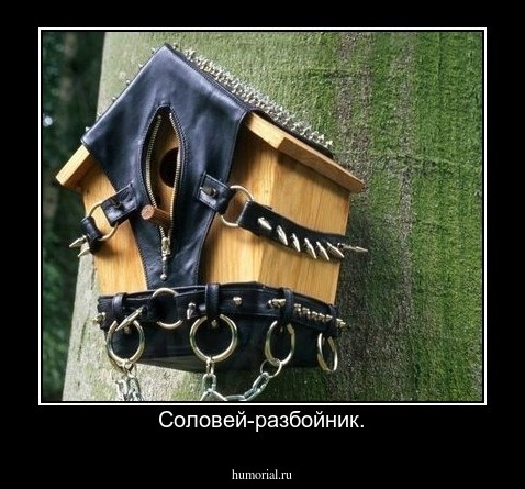 Соловей-разбойник.