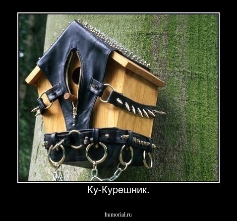Ку-Курешник.