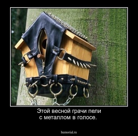 Этой весной грачи пели с металлом в голосе.