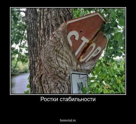 Ростки стабильности
