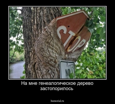 На мне генеалогическое дерево застопорилось