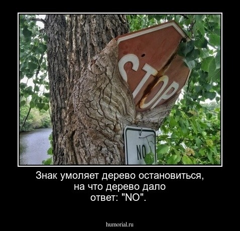 Знак умоляет дерево остановиться, на что дерево дало ответ: "NO".