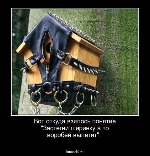 Вот откуда взялось понятие "Застегни ширинку а то воробей вылетит".