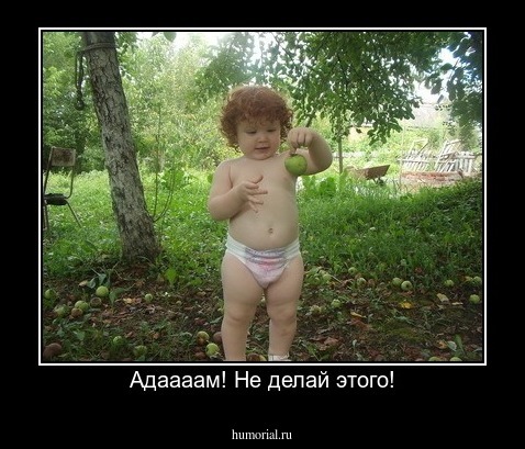 Адаааам! Не делай этого!