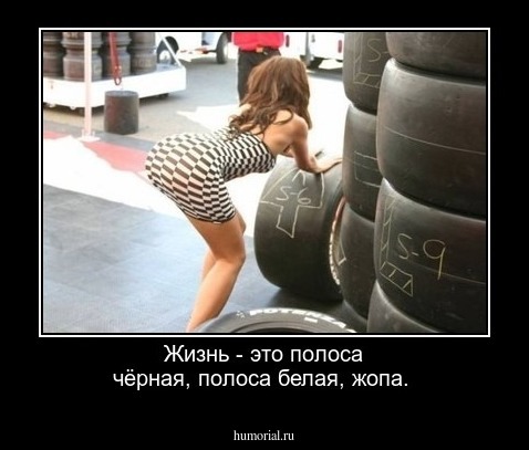 Жизнь - это полоса чёрная, полоса белая, жопа.
