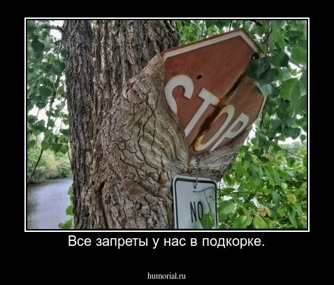 Все запреты у нас в подкорке.