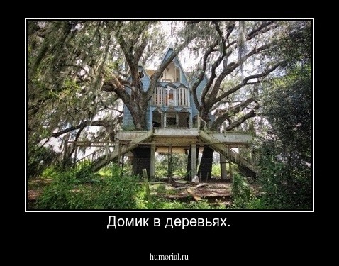 Домик в деревьях.