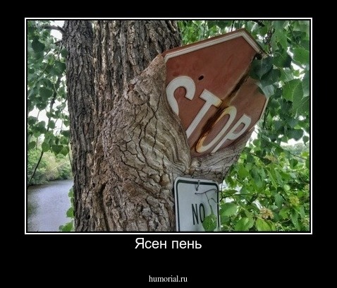 Ясен пень