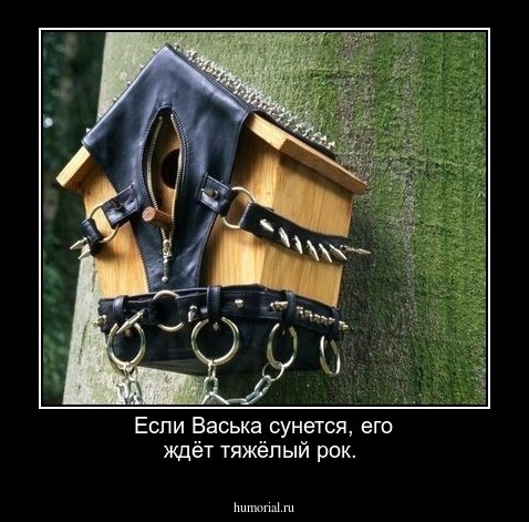 Если Васька сунется, его ждёт тяжёлый рок.