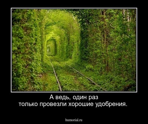 А ведь, один раз только провезли хорошие удобрения.