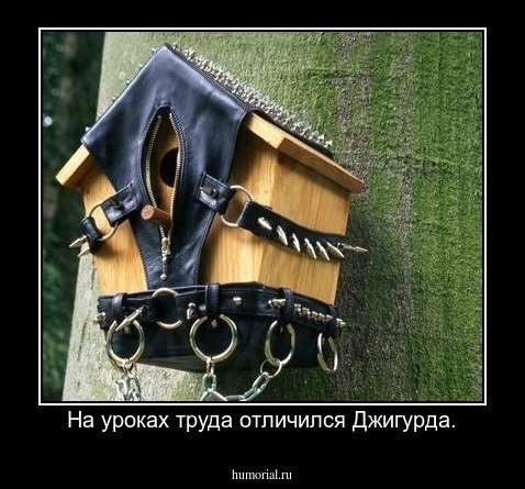 На уроках труда отличился Джигурда.