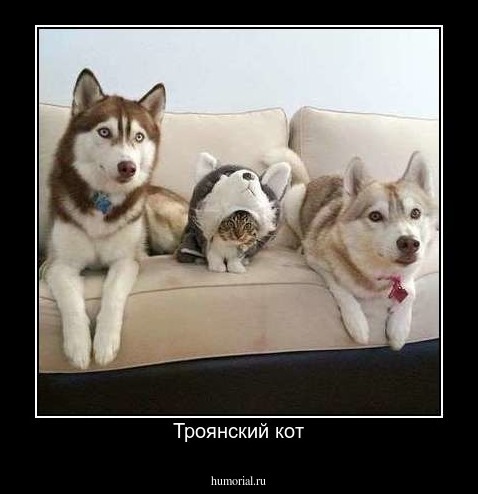 Троянский кот