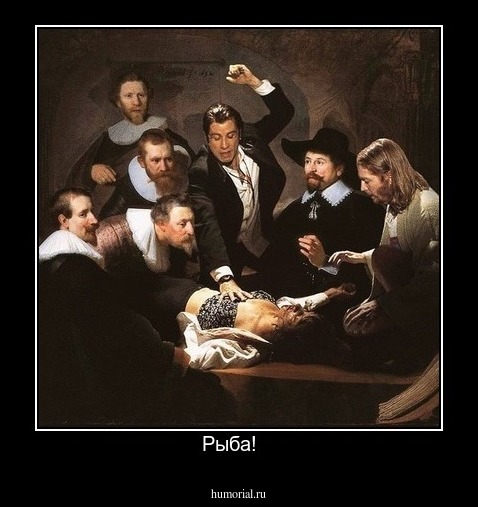Рыба!   