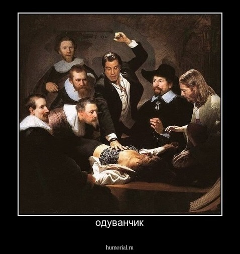одуванчик