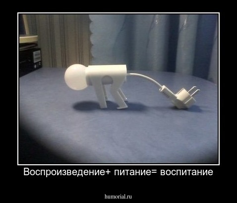 Воспроизведение+ питание= воспитание