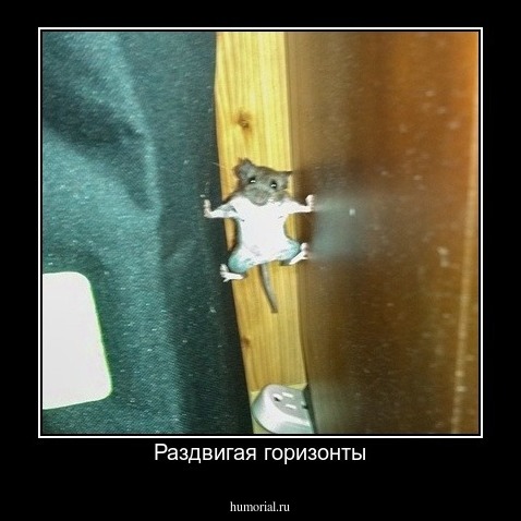 Раздвигая горизонты