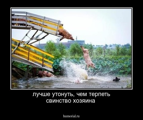 лучше  утонуть, чем  терпеть  свинство хозяина