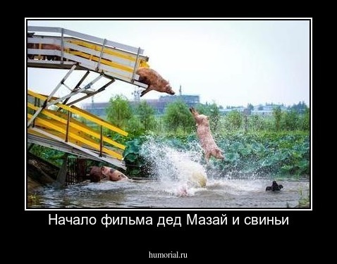 Начало фильма дед Мазай и свиньи