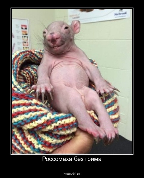 Россомаха без грима