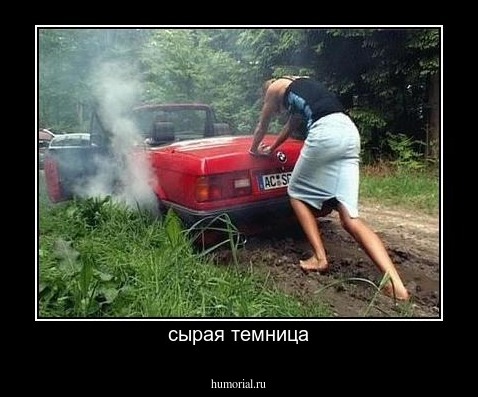сырая темница