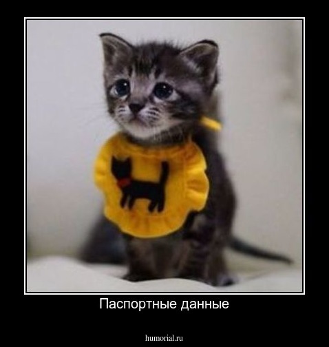 Паспортные данные