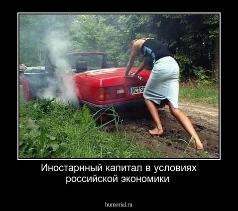 Иностарнный капитал в условиях российской экономики