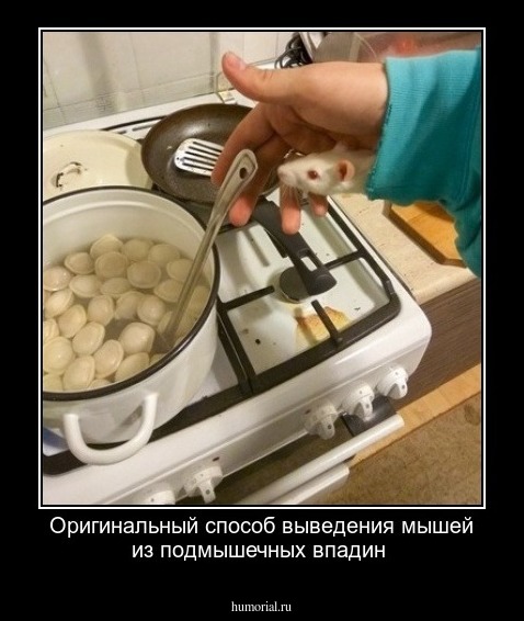 Оригинальный способ выведения мышей из подмышечных впадин
