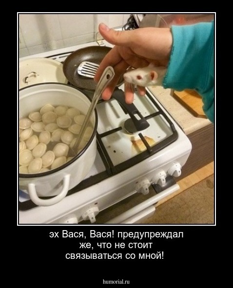 эх Вася, Вася! предупреждал же, что не стоит связываться со мной!