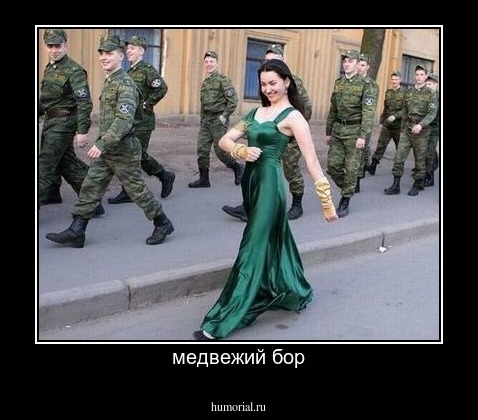 медвежий бор