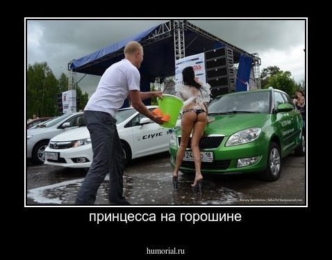 принцесса на горошине