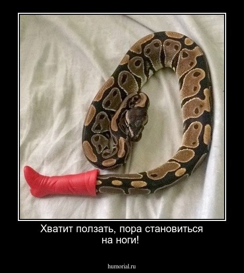 Хватит ползать, пора становиться на ноги!