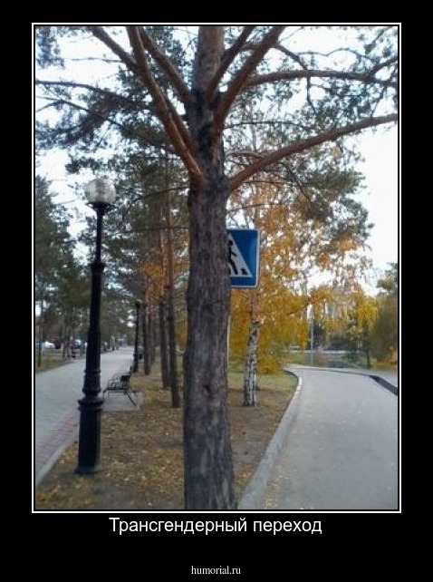 Трансгендерный переход