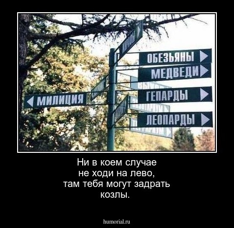 Ни в коем случае не ходи на лево, там тебя могут задрать козлы.