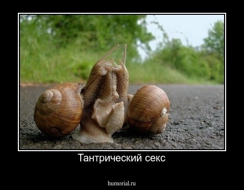 Тантрический секс