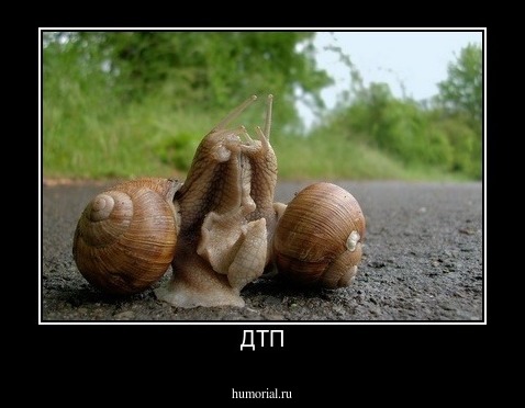 ДТП