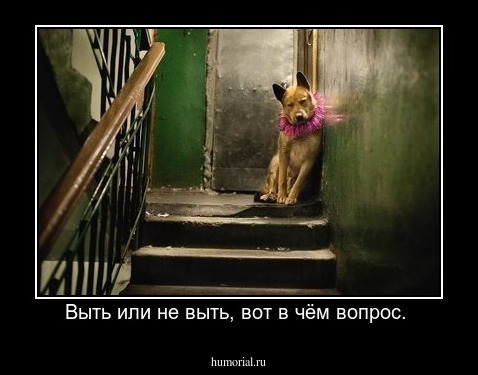 Выть или не выть, вот в чём вопрос. 