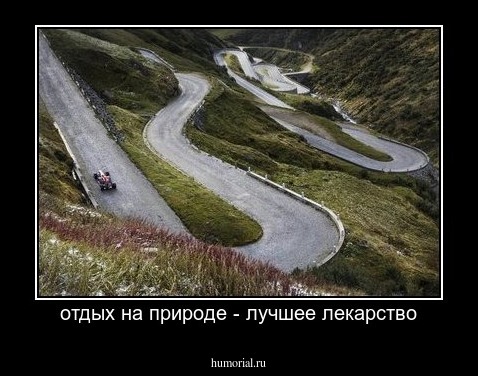 отдых на природе - лучшее лекарство