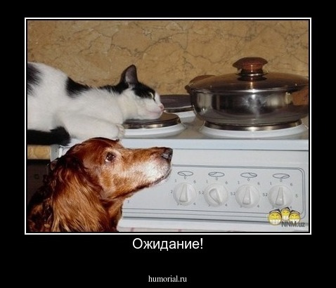 Ожидание!