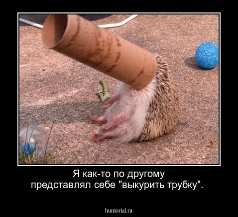 Я как-то по другому представлял себе "выкурить трубку".